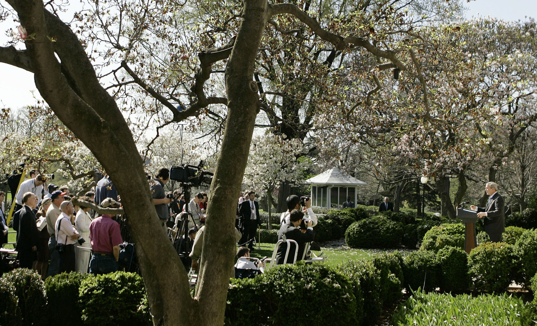 Bush, 2007